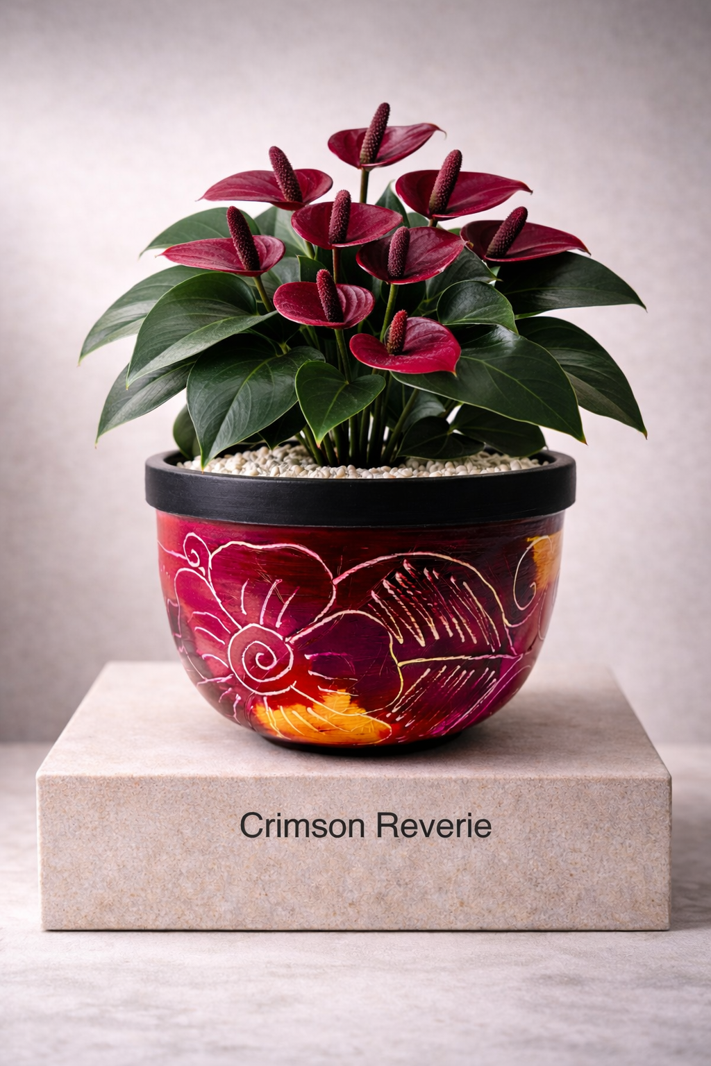 Succulent Centro Bowl Planter
