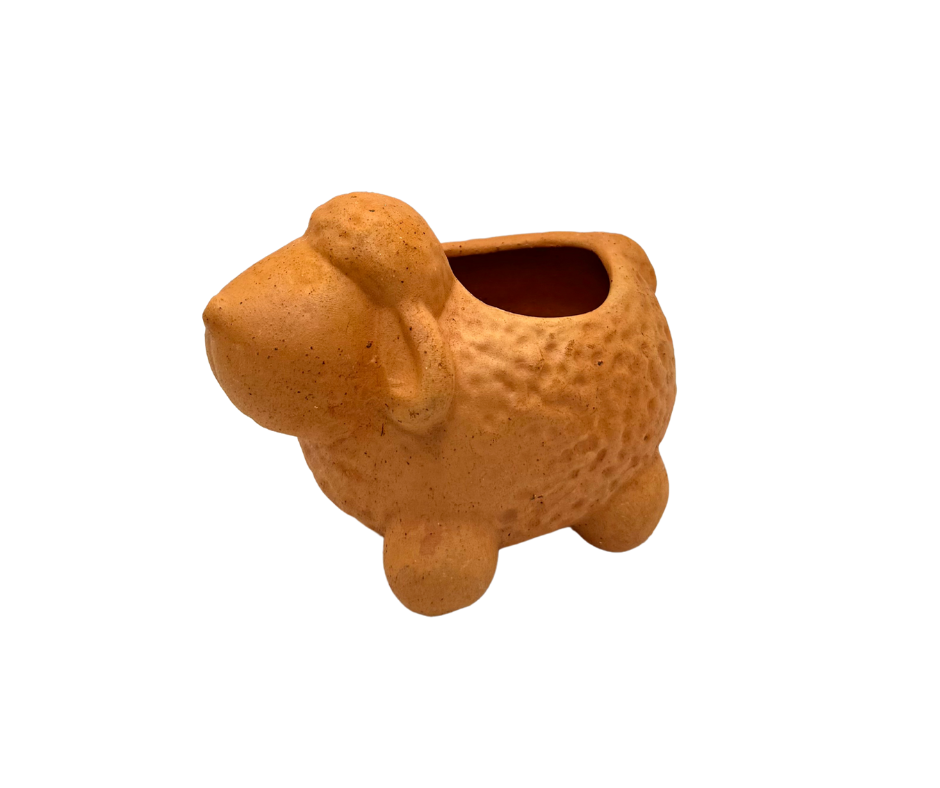 Chubby Sheep Succulent Planter
