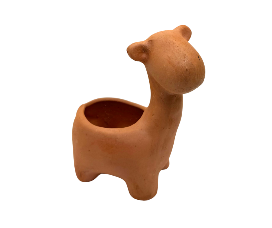 Giraffe Succulent Planter