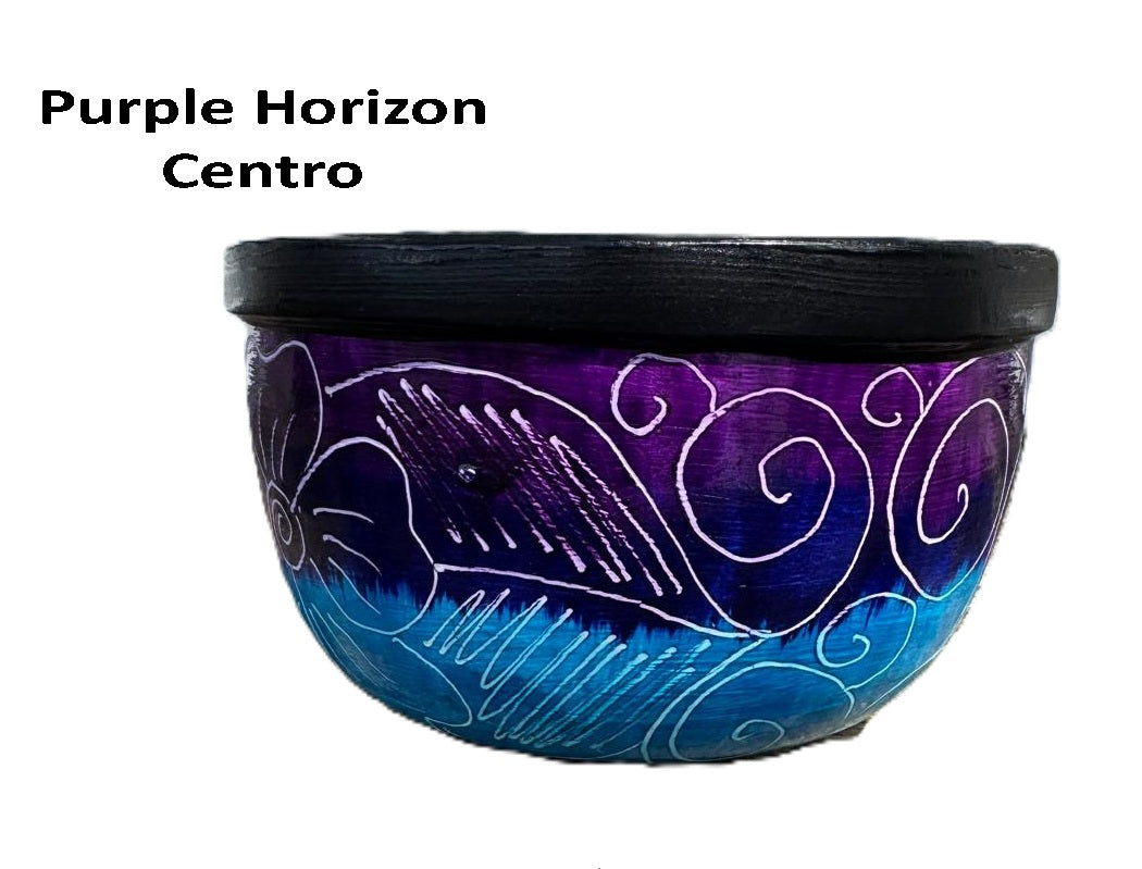 Succulent Centro Bowl Planter