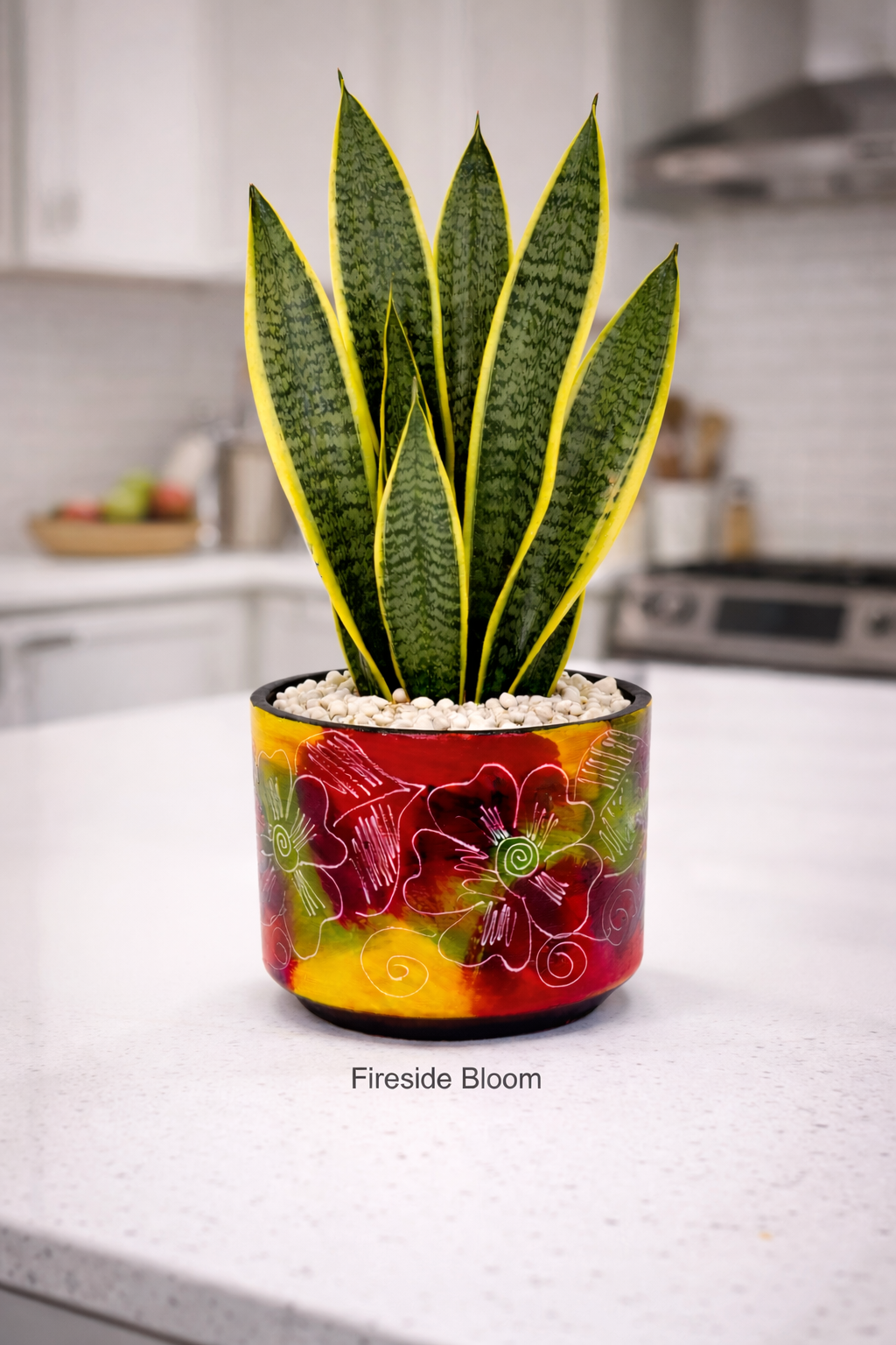Multicolored Succulent Cylinder Pot