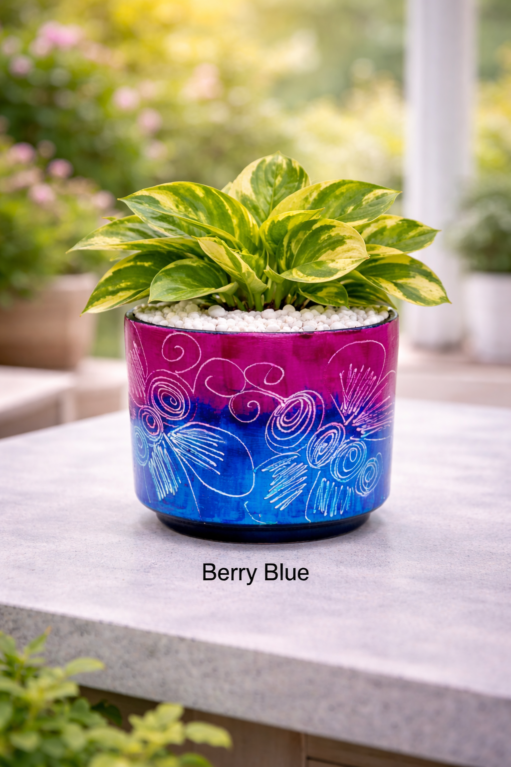 Multicolored Succulent Cylinder Pot