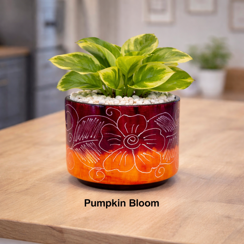 Multicolored Succulent Cylinder Pot