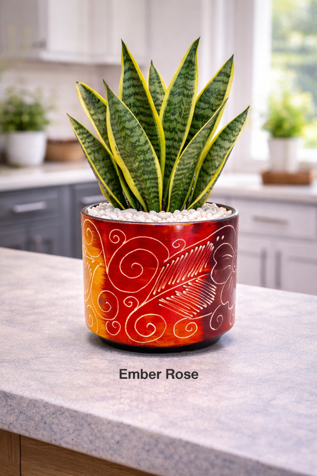 Multicolored Succulent Cylinder Pot