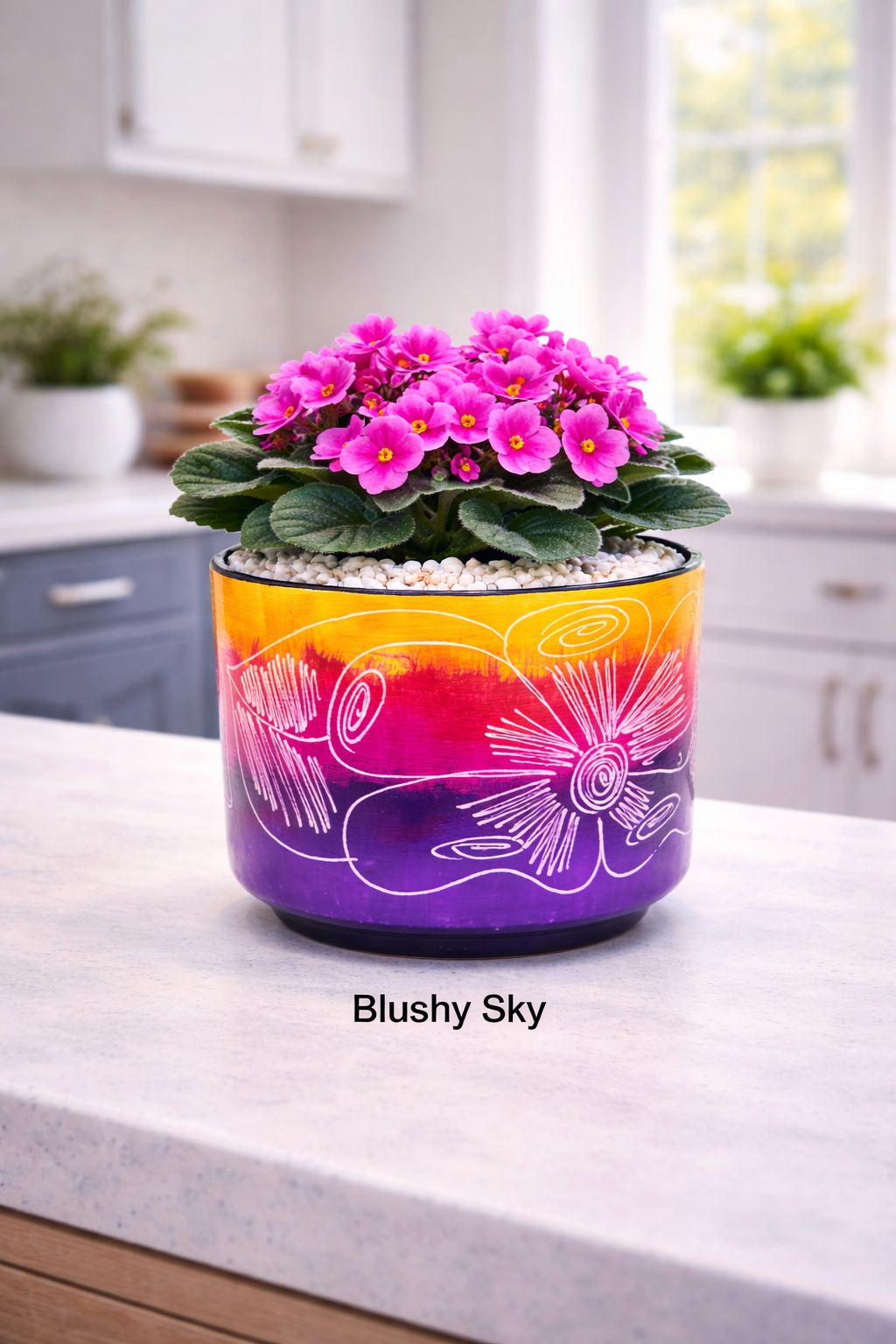 Multicolored Succulent Cylinder Pot