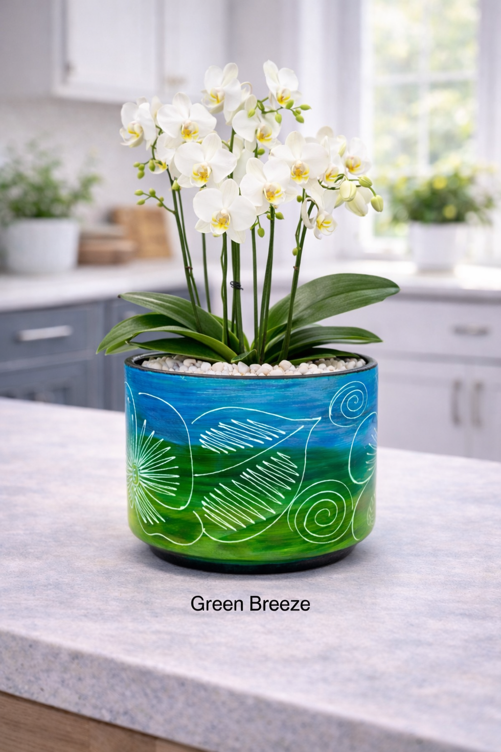 Multicolored Succulent Cylinder Pot