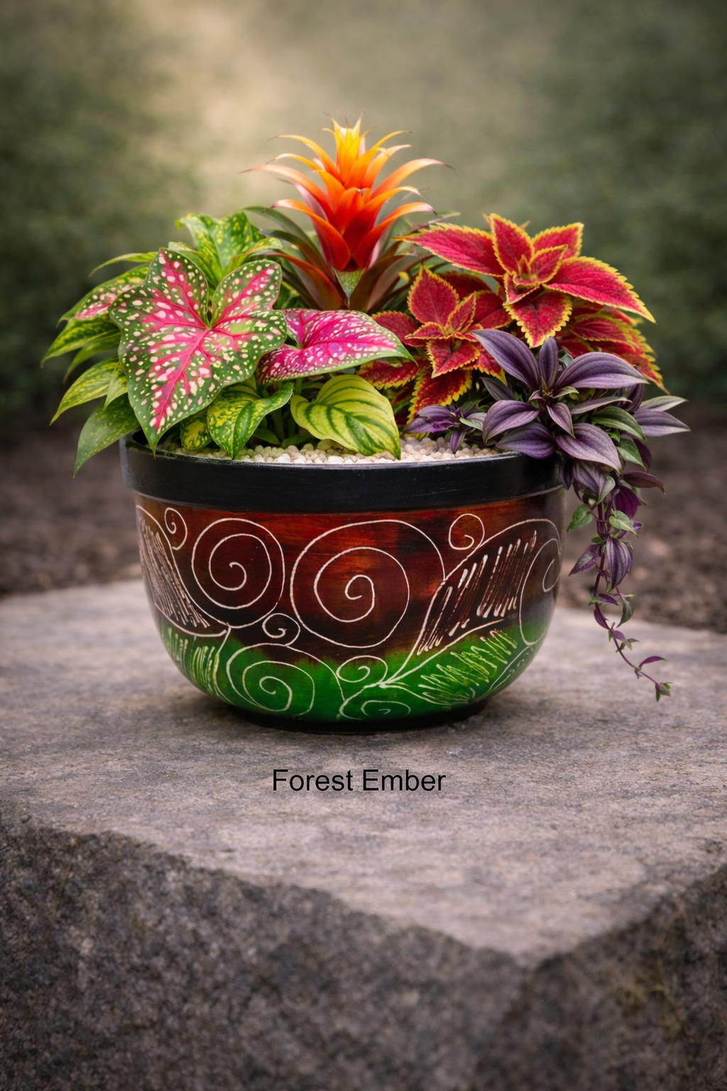 Succulent Centro Bowl Planter