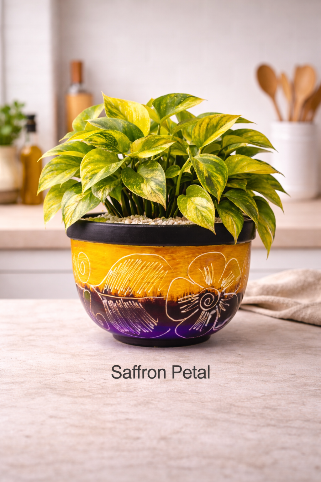 Succulent Centro Bowl Planter