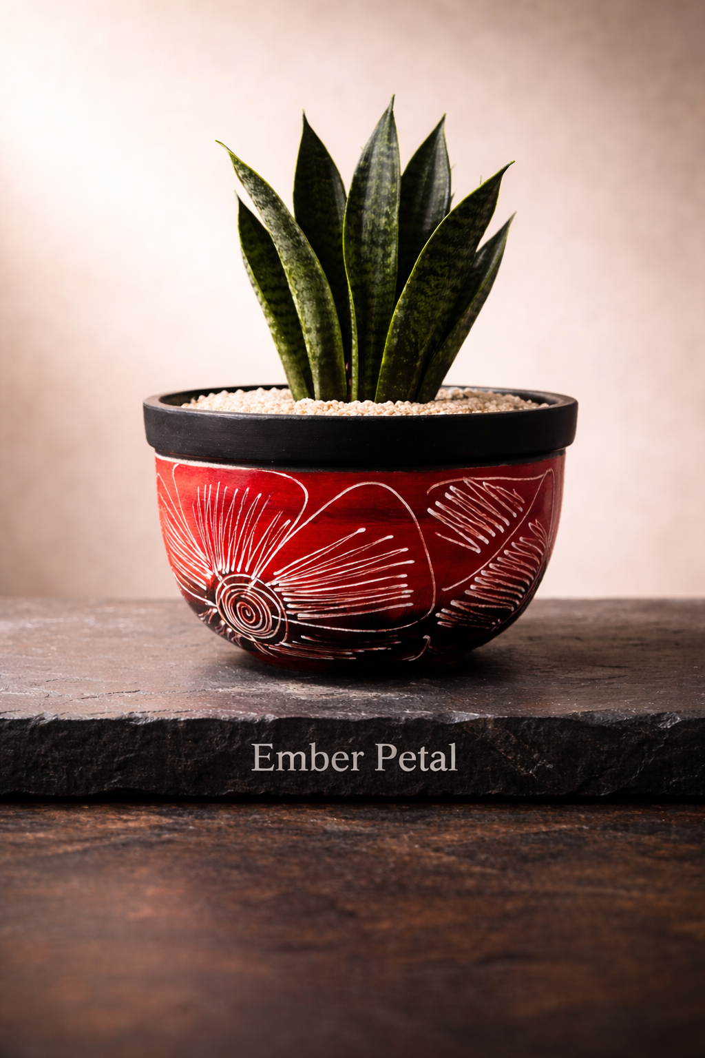 Succulent Centro Bowl Planter