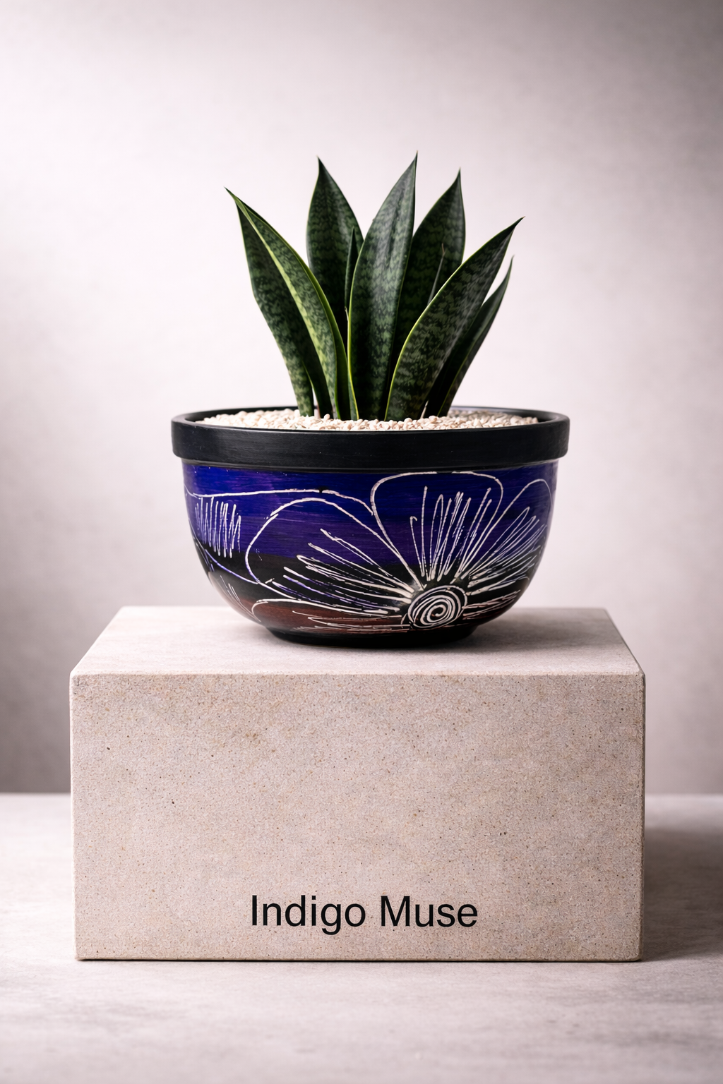 Succulent Centro Bowl Planter