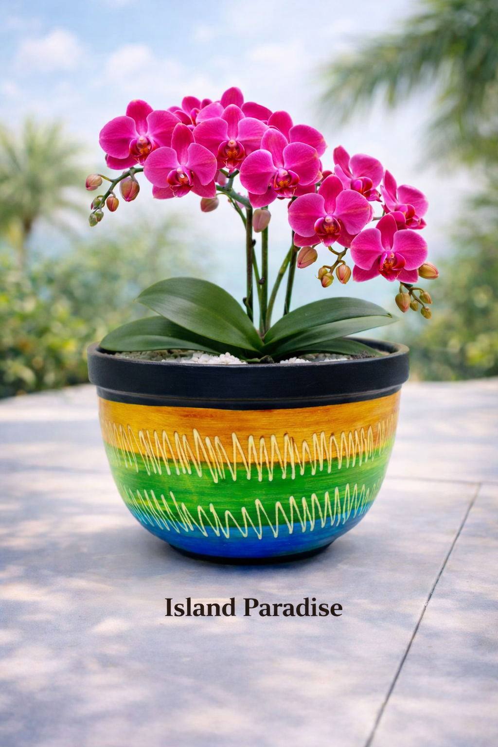 Succulent Centro Bowl Planter