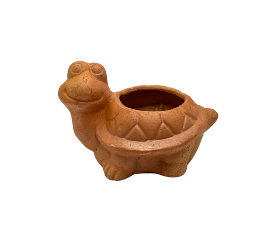 Turtle Succulent Planter