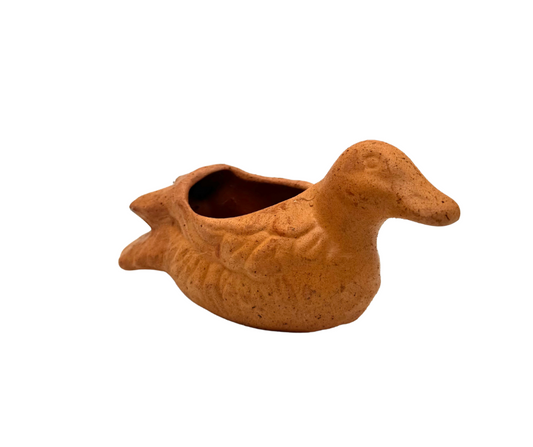 Feathered Duck Succulent Planter