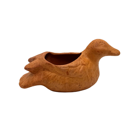 Feathered Duck Succulent Planter