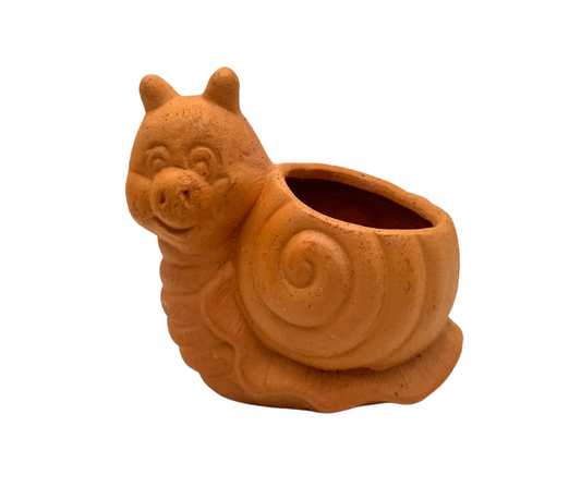 Smiling Snail Succulent Planter